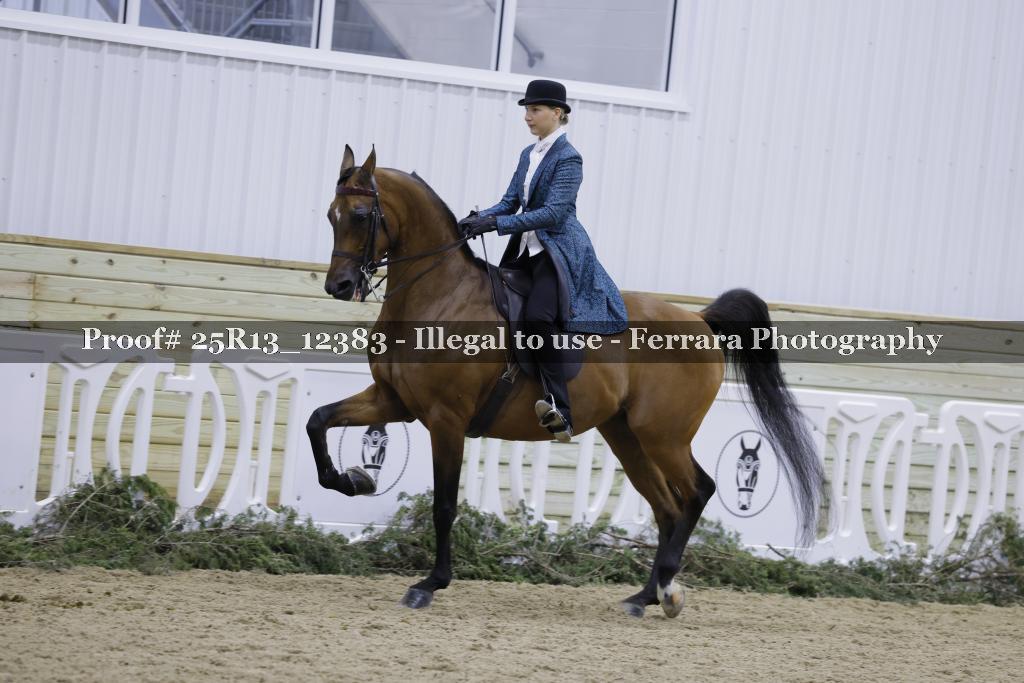 Proof Number 25R13_12383