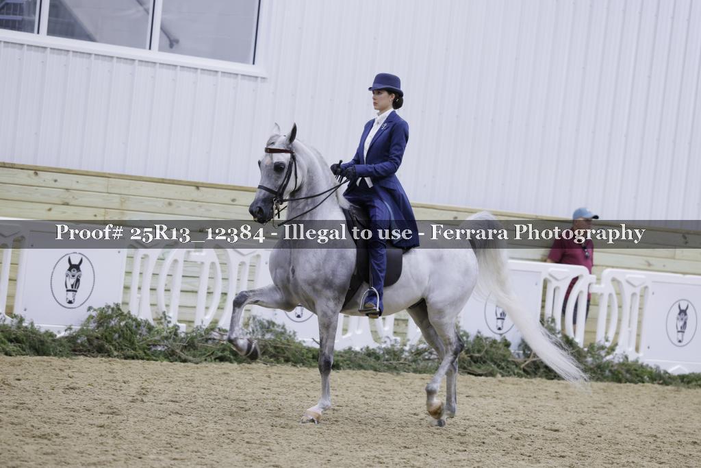 Proof Number 25R13_12384