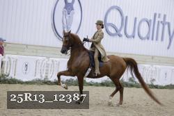 25R13_12387 thumbnail