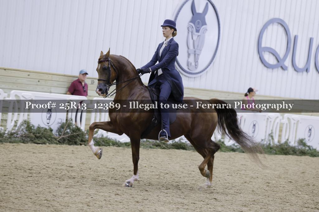 Proof Number 25R13_12389