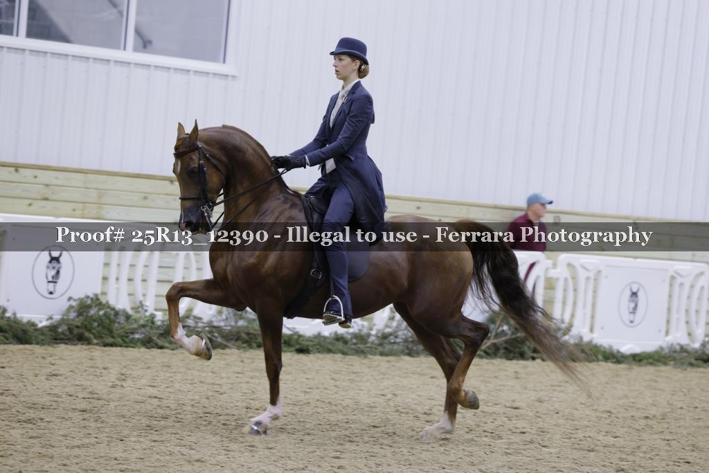 Proof Number 25R13_12390