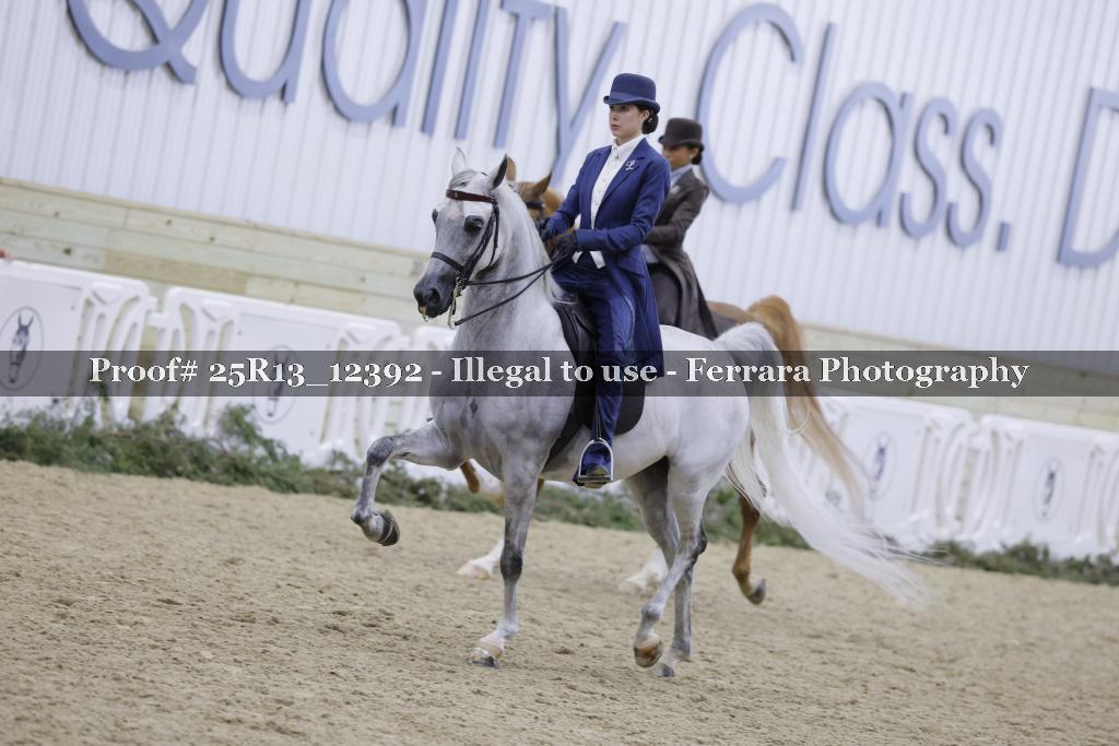 Proof Number 25R13_12392