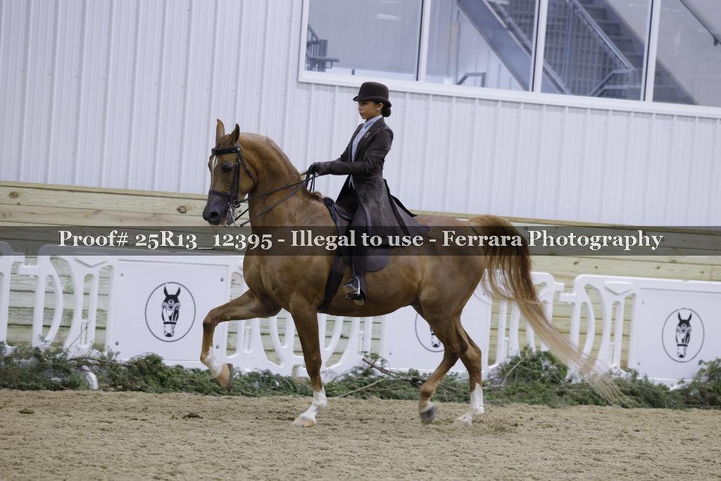Proof Number 25R13_12395