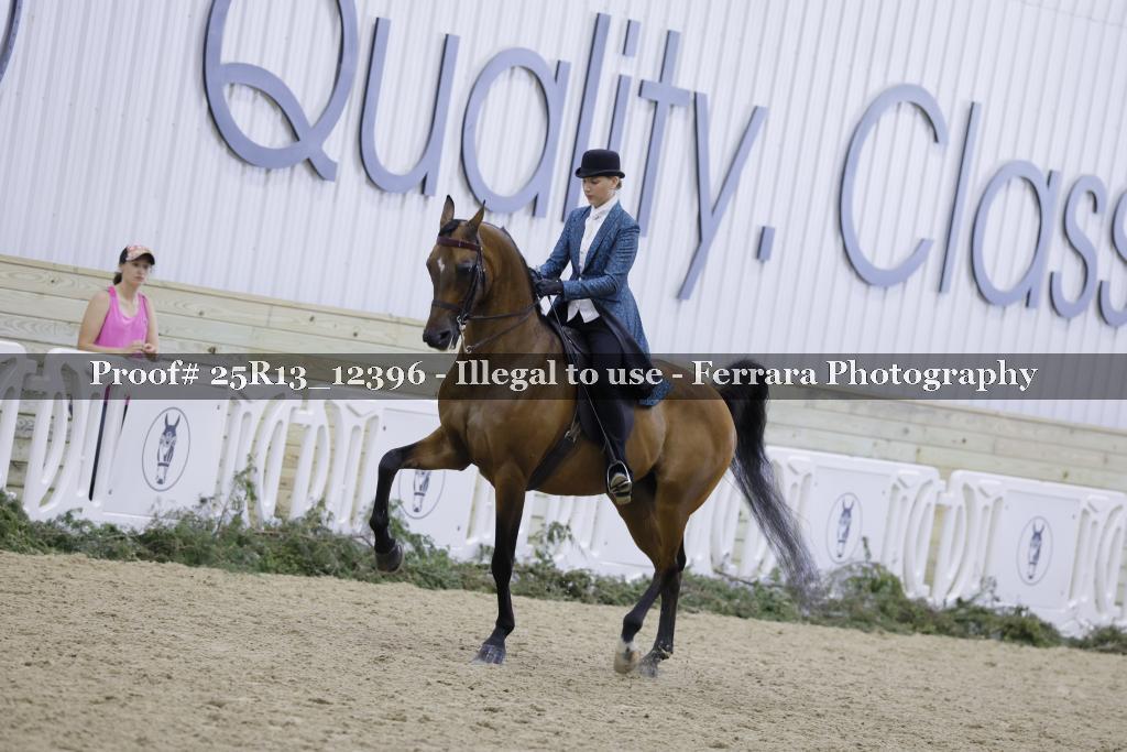Proof Number 25R13_12396