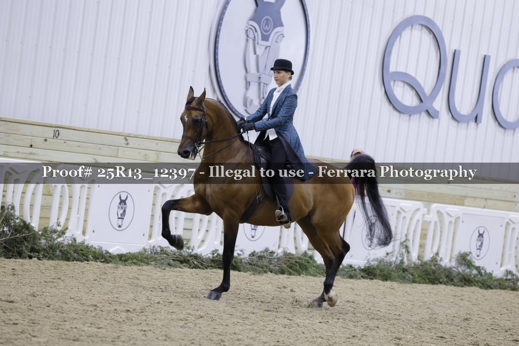 Proof Number 25R13_12397