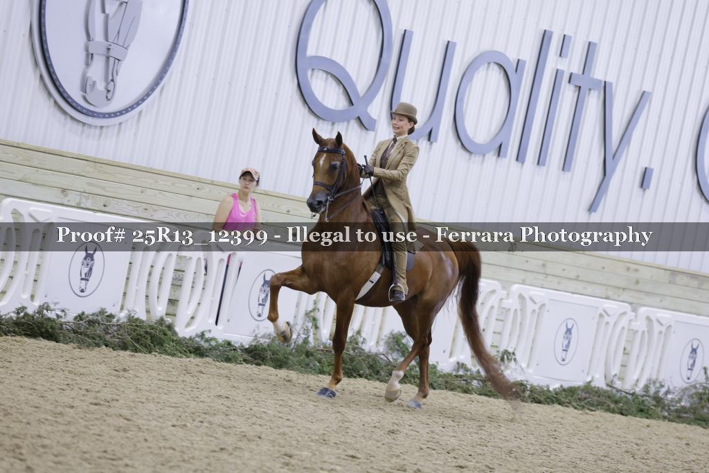 Proof Number 25R13_12399