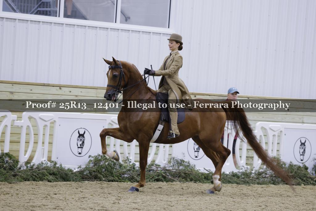 Proof Number 25R13_12401