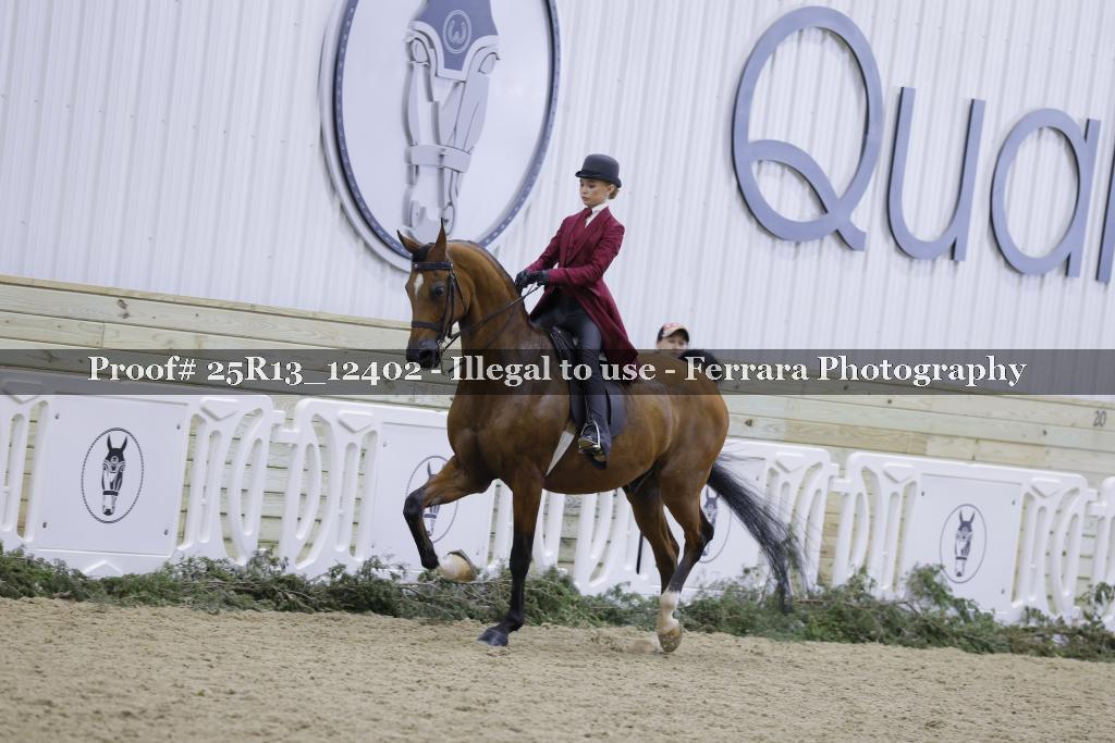 Proof Number 25R13_12402