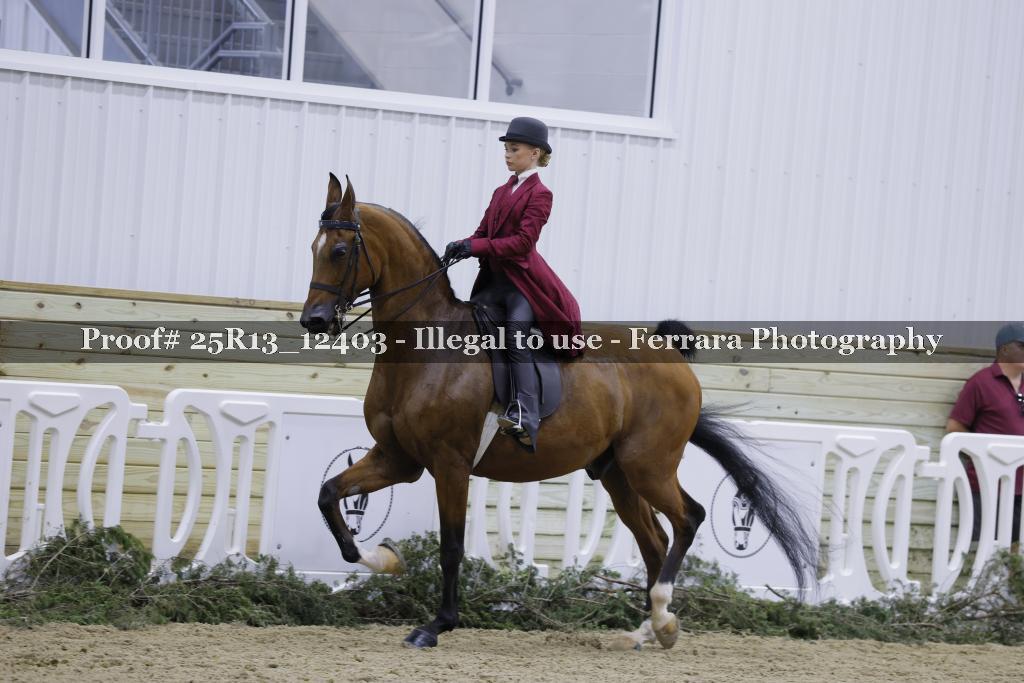 Proof Number 25R13_12403