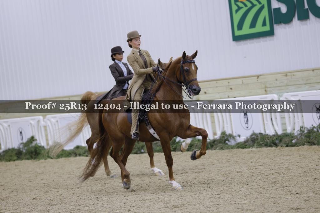 Proof Number 25R13_12404