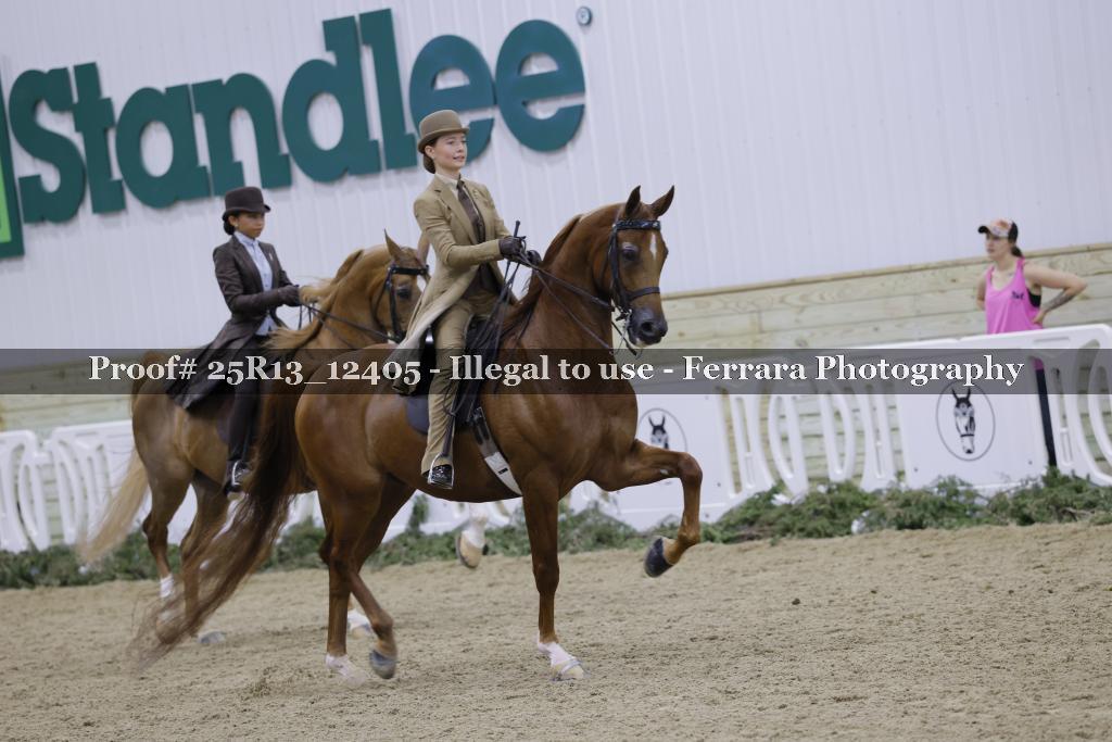 Proof Number 25R13_12405