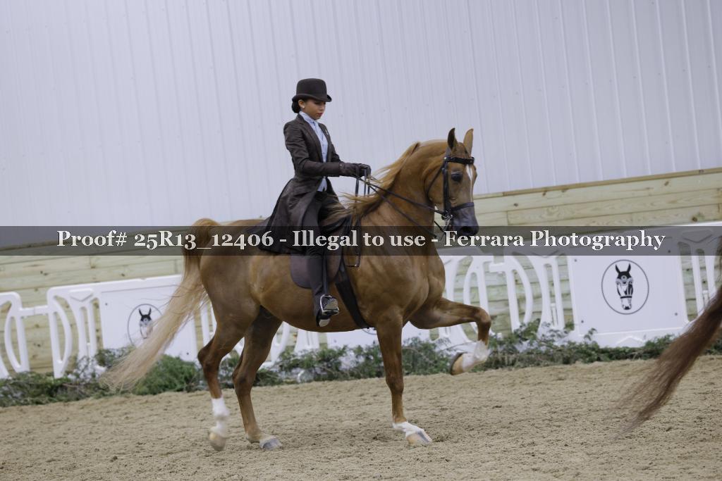 Proof Number 25R13_12406