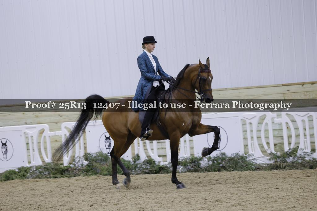 Proof Number 25R13_12407