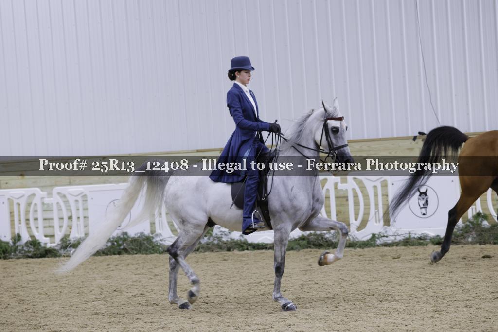 Proof Number 25R13_12408