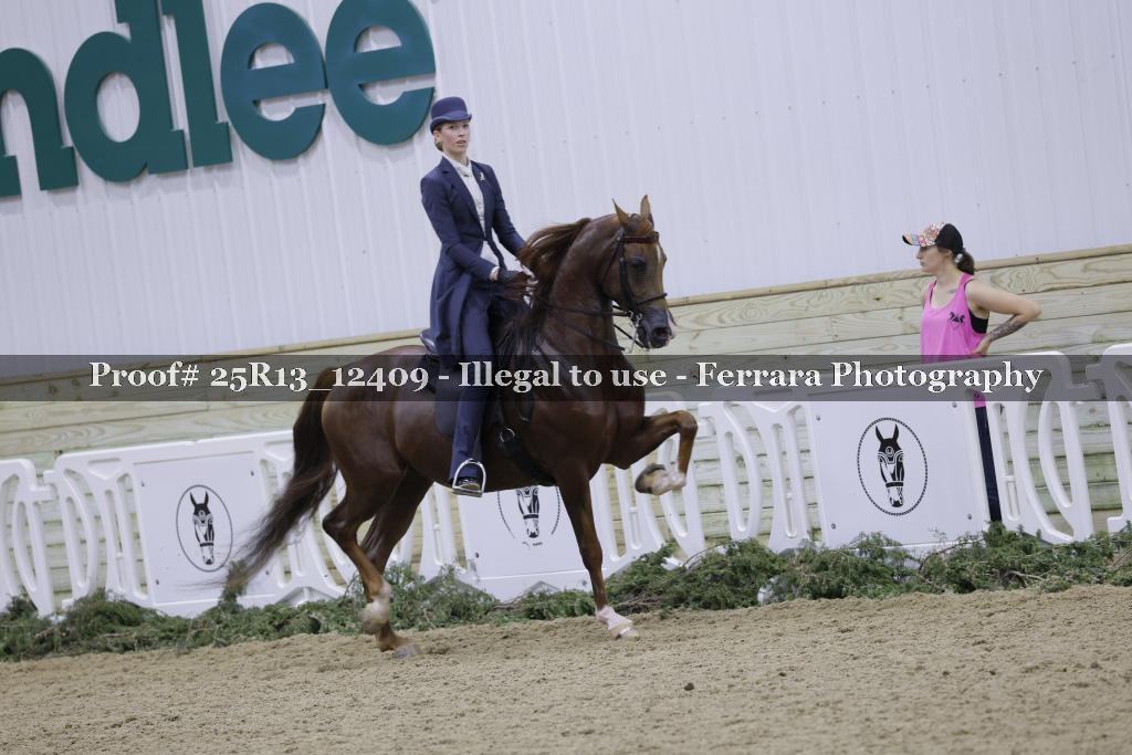 Proof Number 25R13_12409