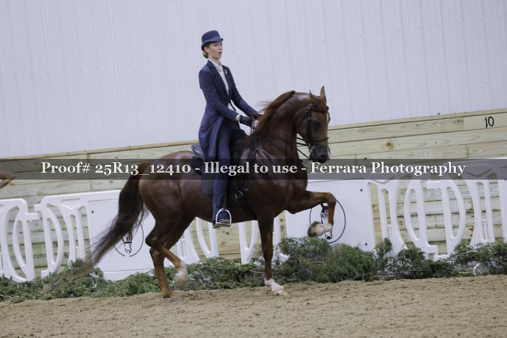 Proof Number 25R13_12410
