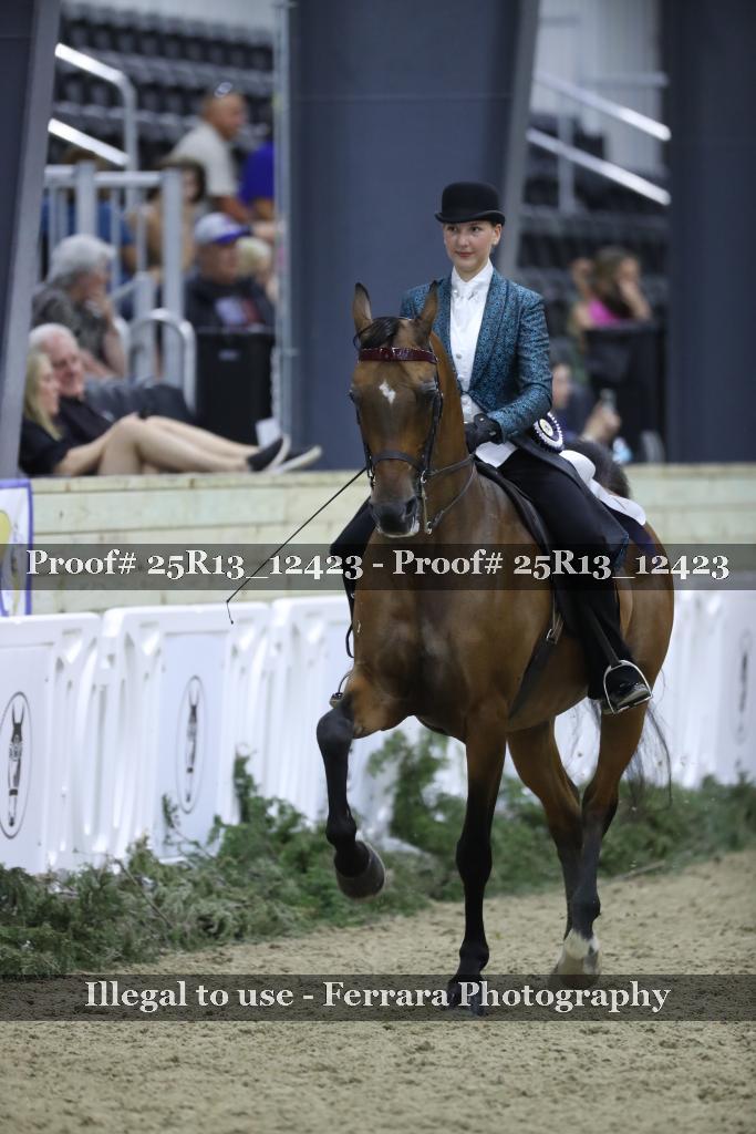 Proof Number 25R13_12423