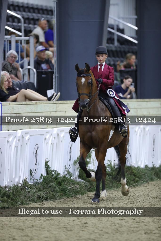Proof Number 25R13_12424