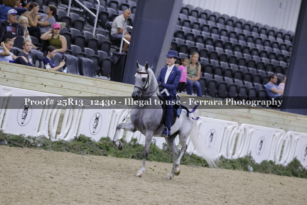 Proof Number 25R13_12430