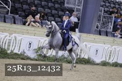 25R13_12432 thumbnail