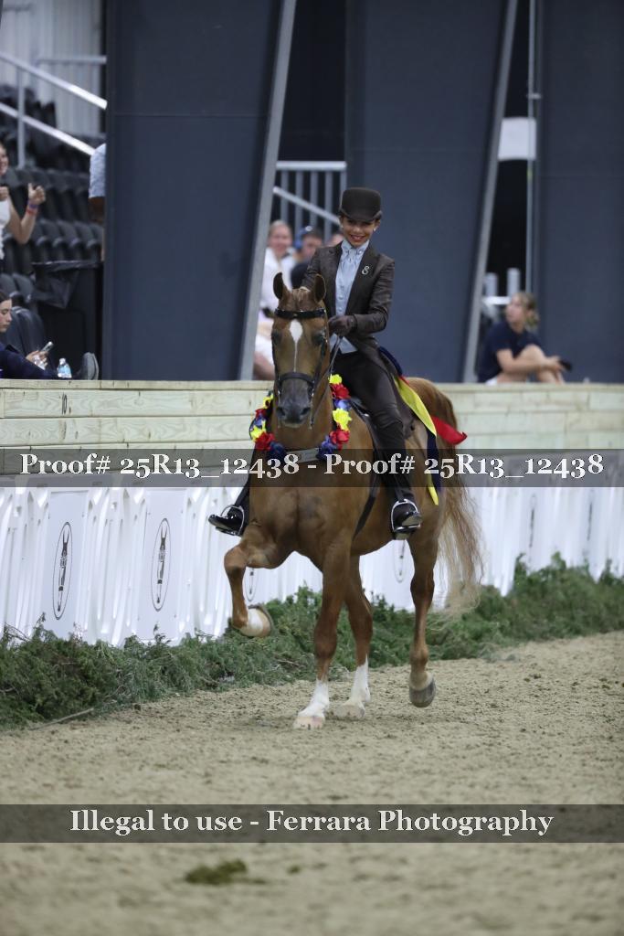 Proof Number 25R13_12438
