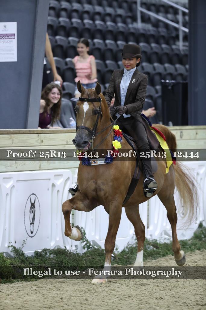 Proof Number 25R13_12444