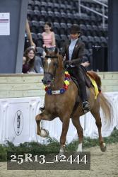 25R13_12444 thumbnail