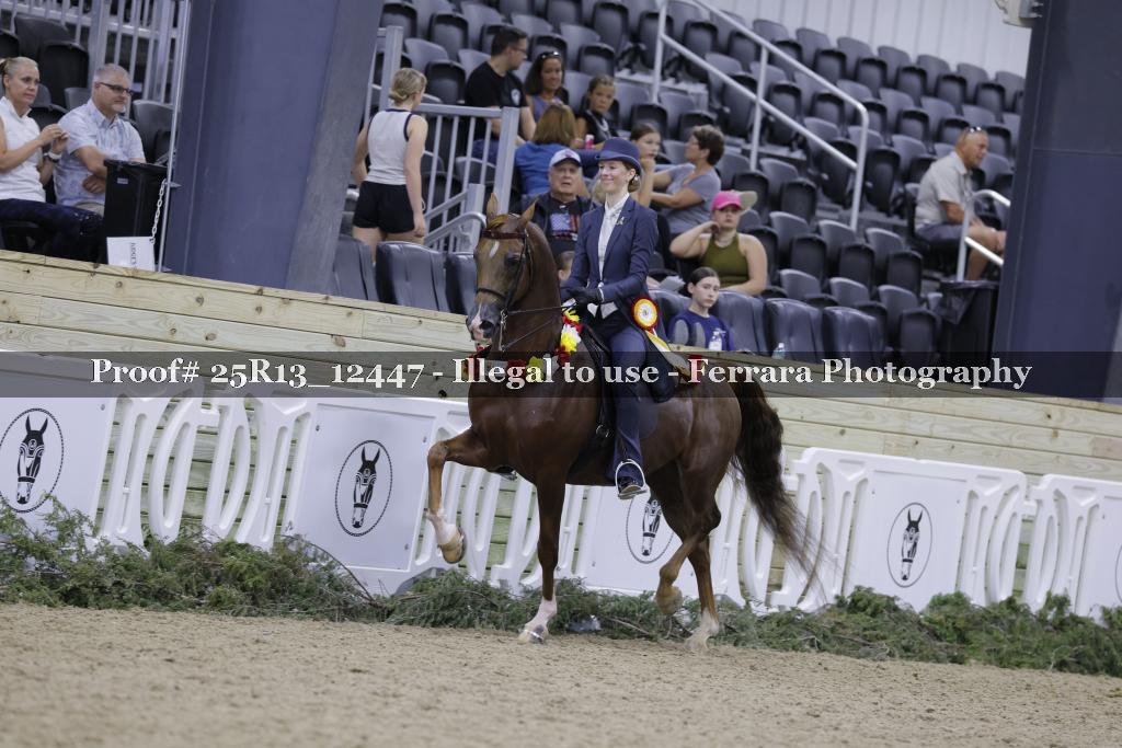 Proof Number 25R13_12447