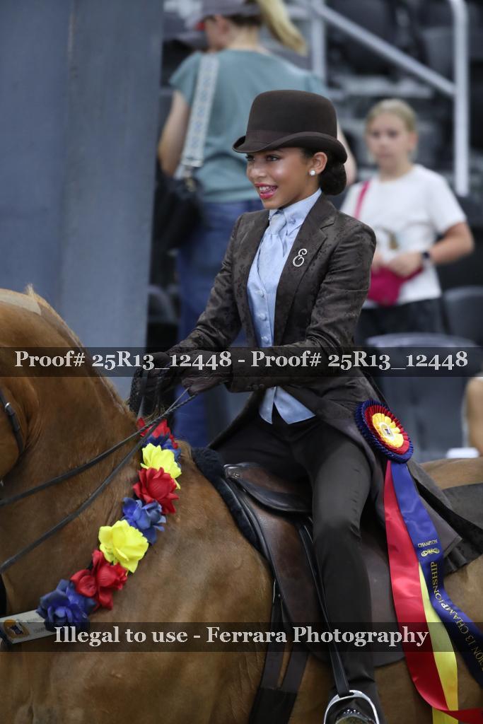 Proof Number 25R13_12448