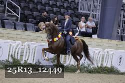 25R13_12449 thumbnail
