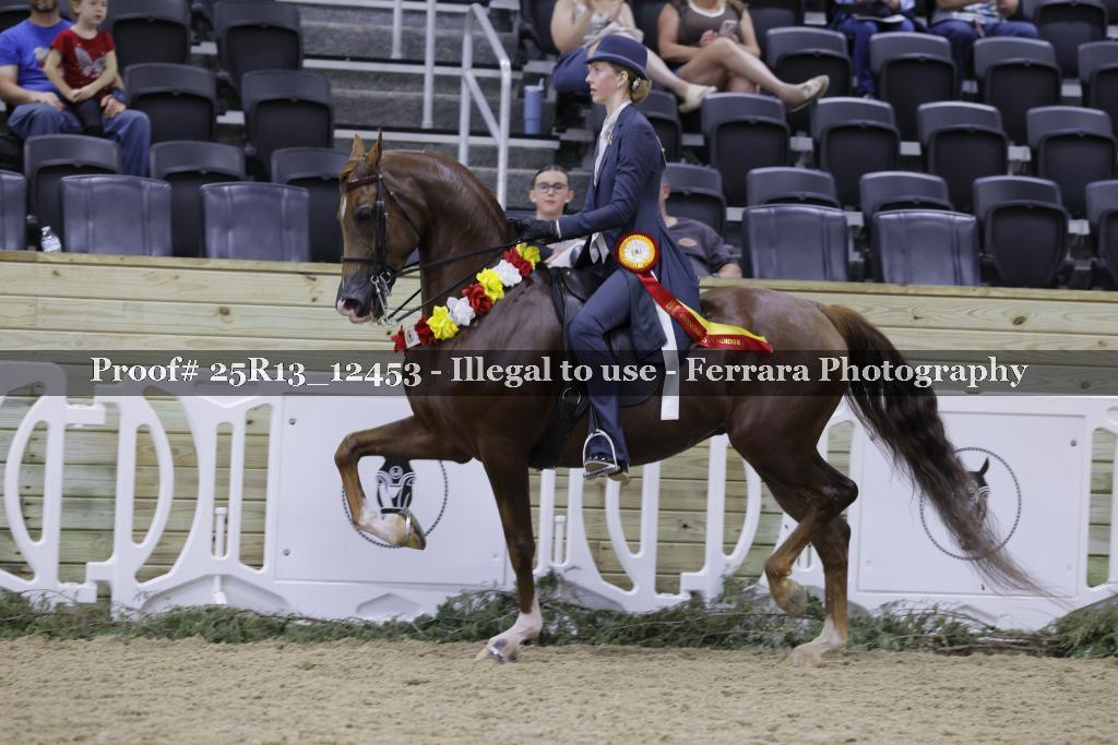 Proof Number 25R13_12453