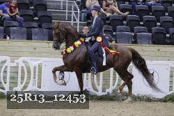 25R13_12453 thumbnail