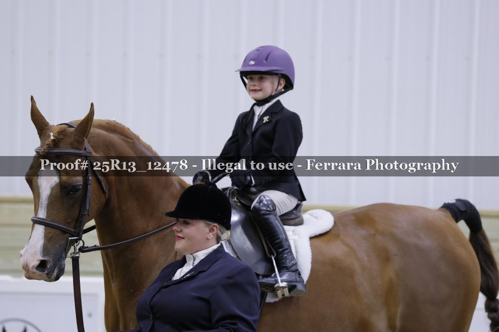 Proof Number 25R13_12478