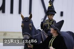 25R13_12486 thumbnail