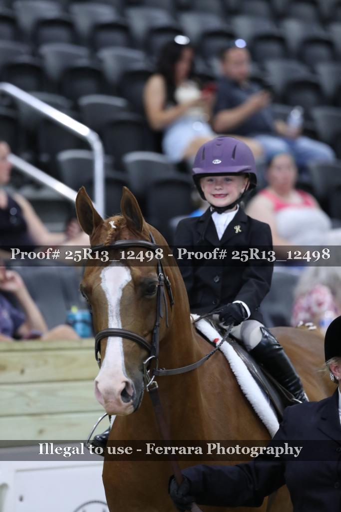 Proof Number 25R13_12498