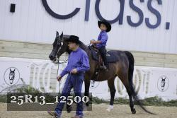 25R13_12500 thumbnail