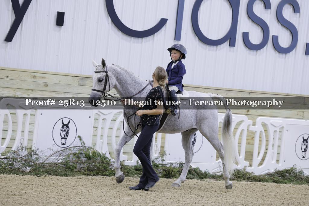 Proof Number 25R13_12510