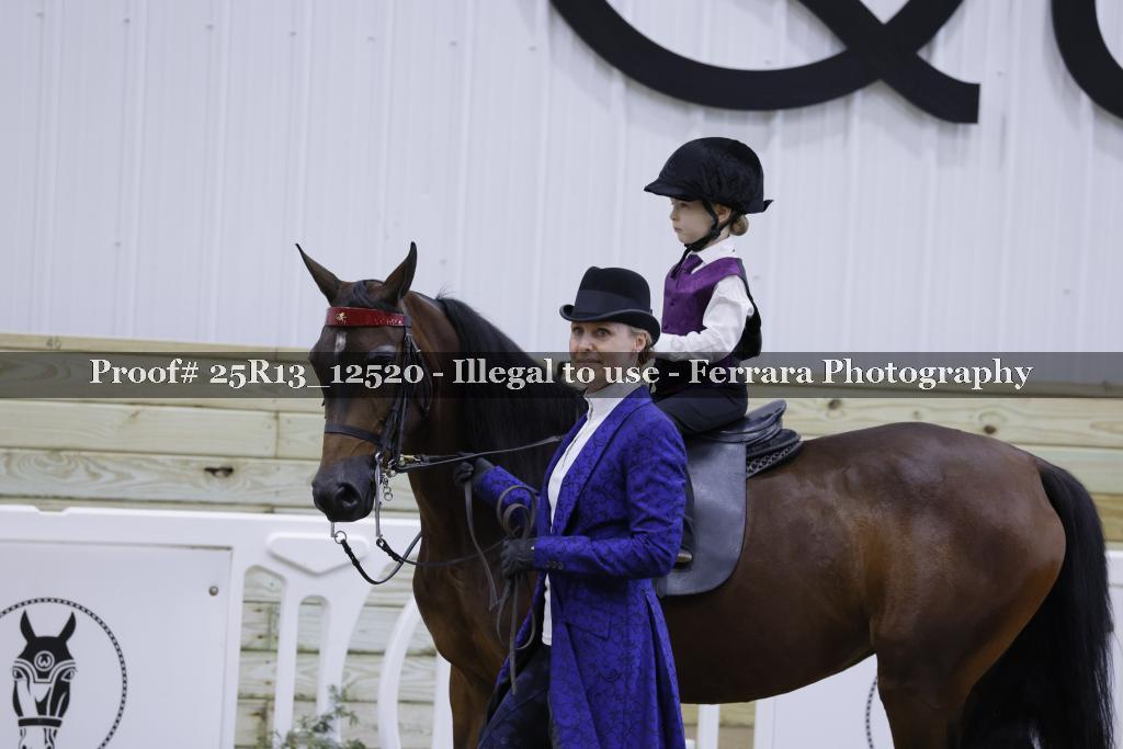 Proof Number 25R13_12520