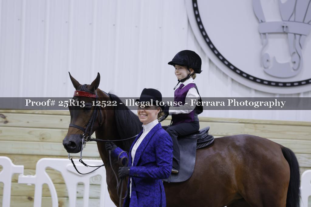 Proof Number 25R13_12522