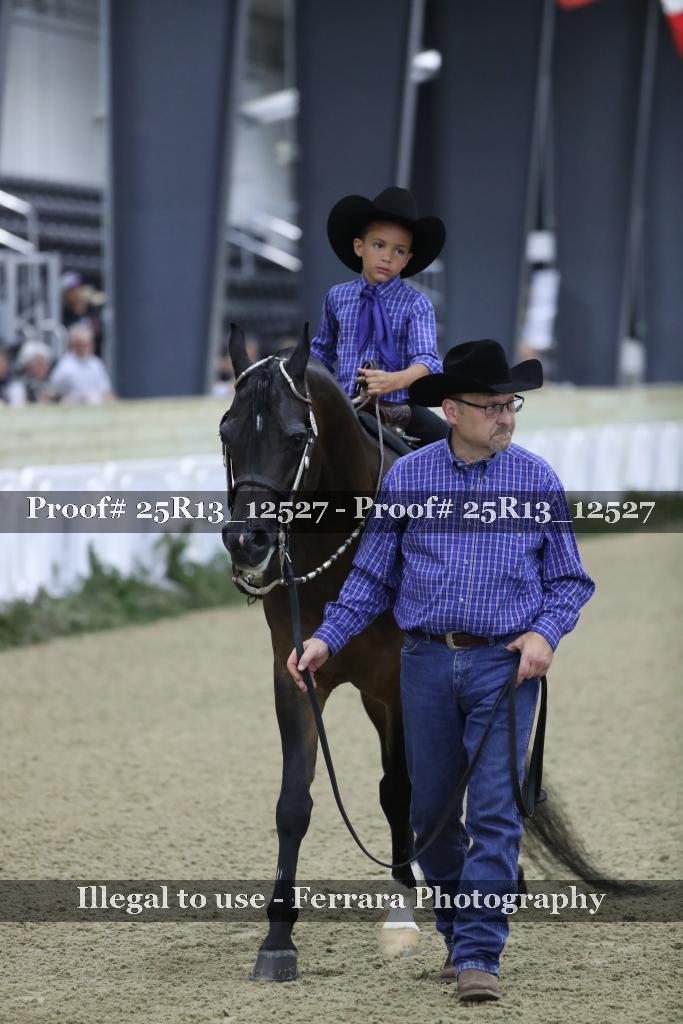 Proof Number 25R13_12527