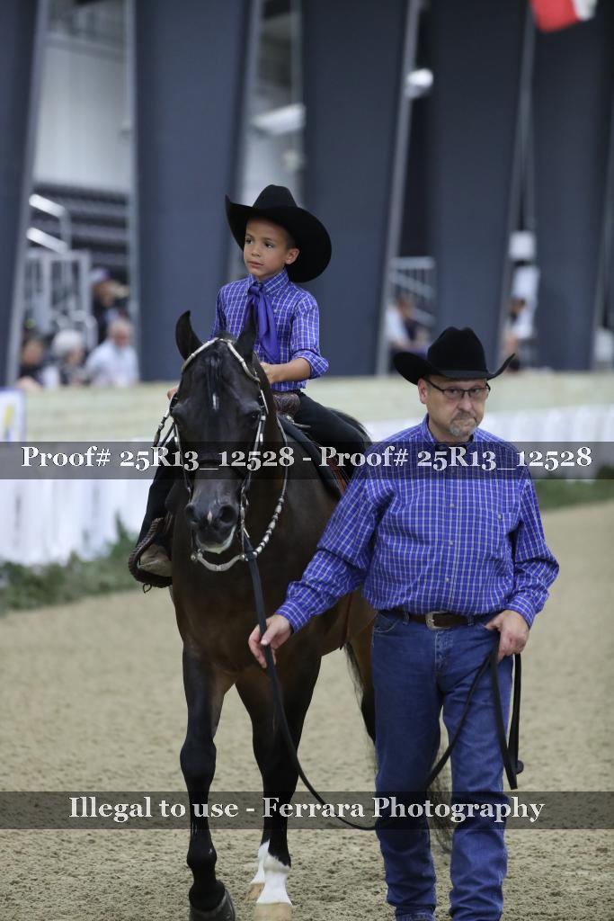 Proof Number 25R13_12528