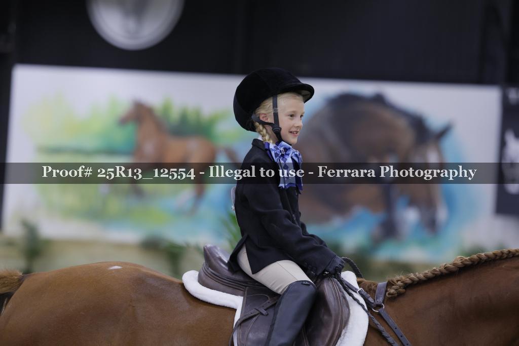 Proof Number 25R13_12554
