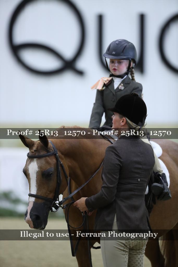 Proof Number 25R13_12570