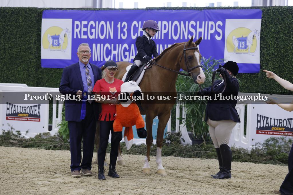 Proof Number 25R13_12591