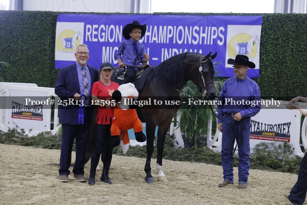 Proof Number 25R13_12595