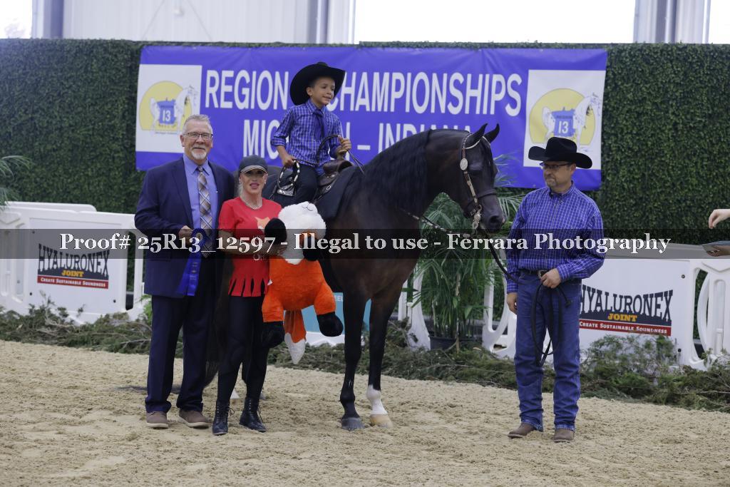 Proof Number 25R13_12597