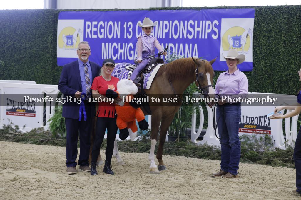 Proof Number 25R13_12609