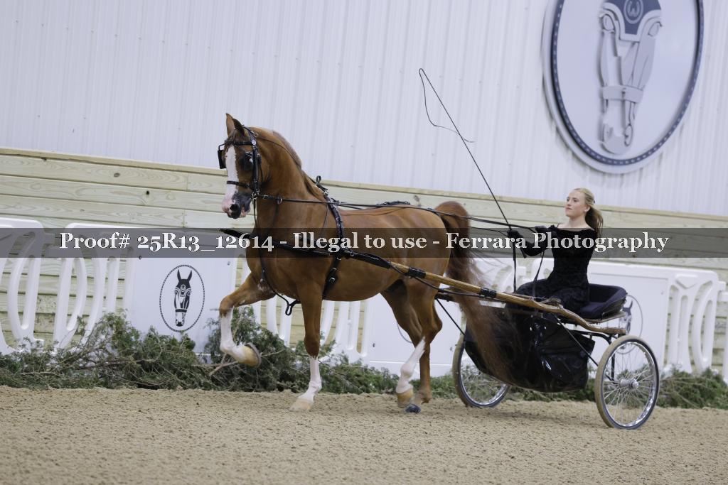 Proof Number 25R13_12614