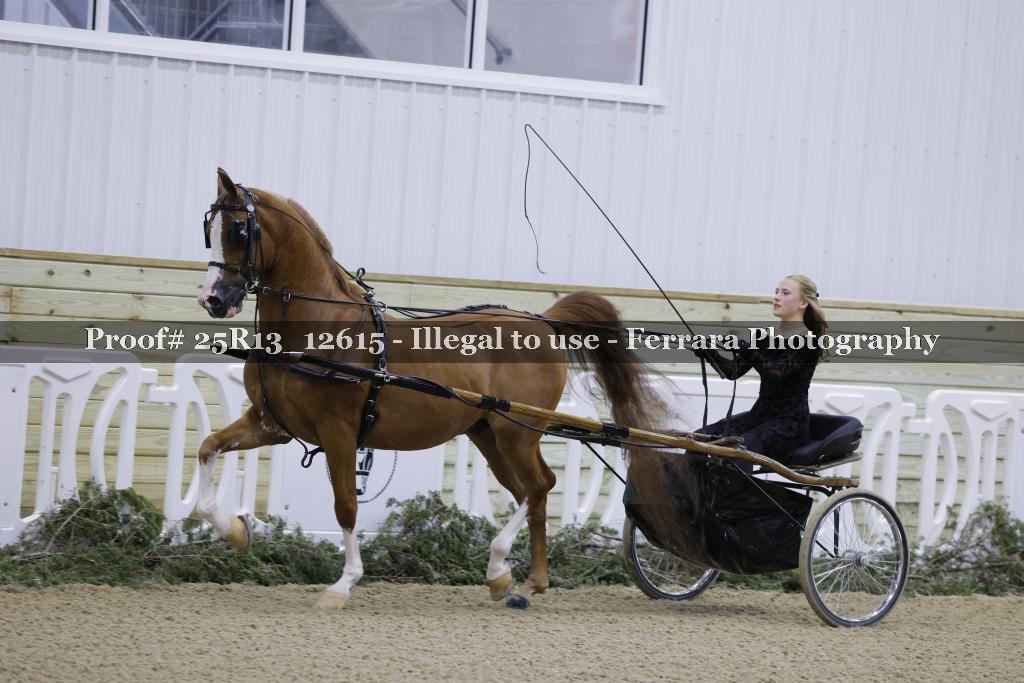Proof Number 25R13_12615