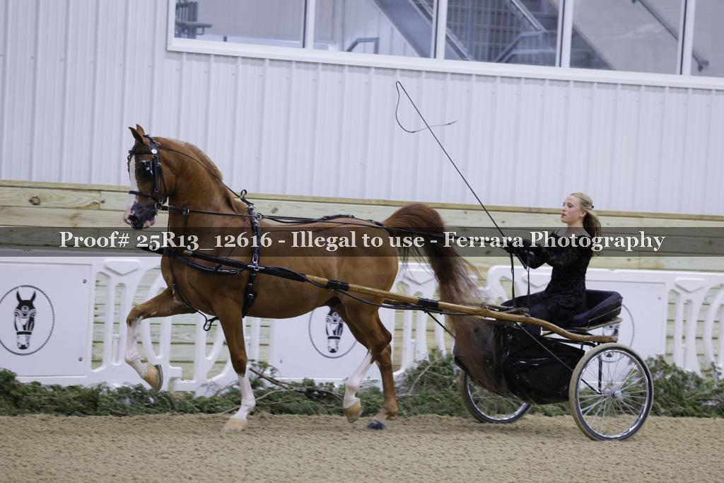Proof Number 25R13_12616